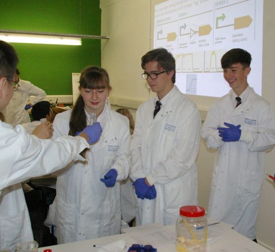 Synthetic Biology Goes Bananas in FabLab Coventry